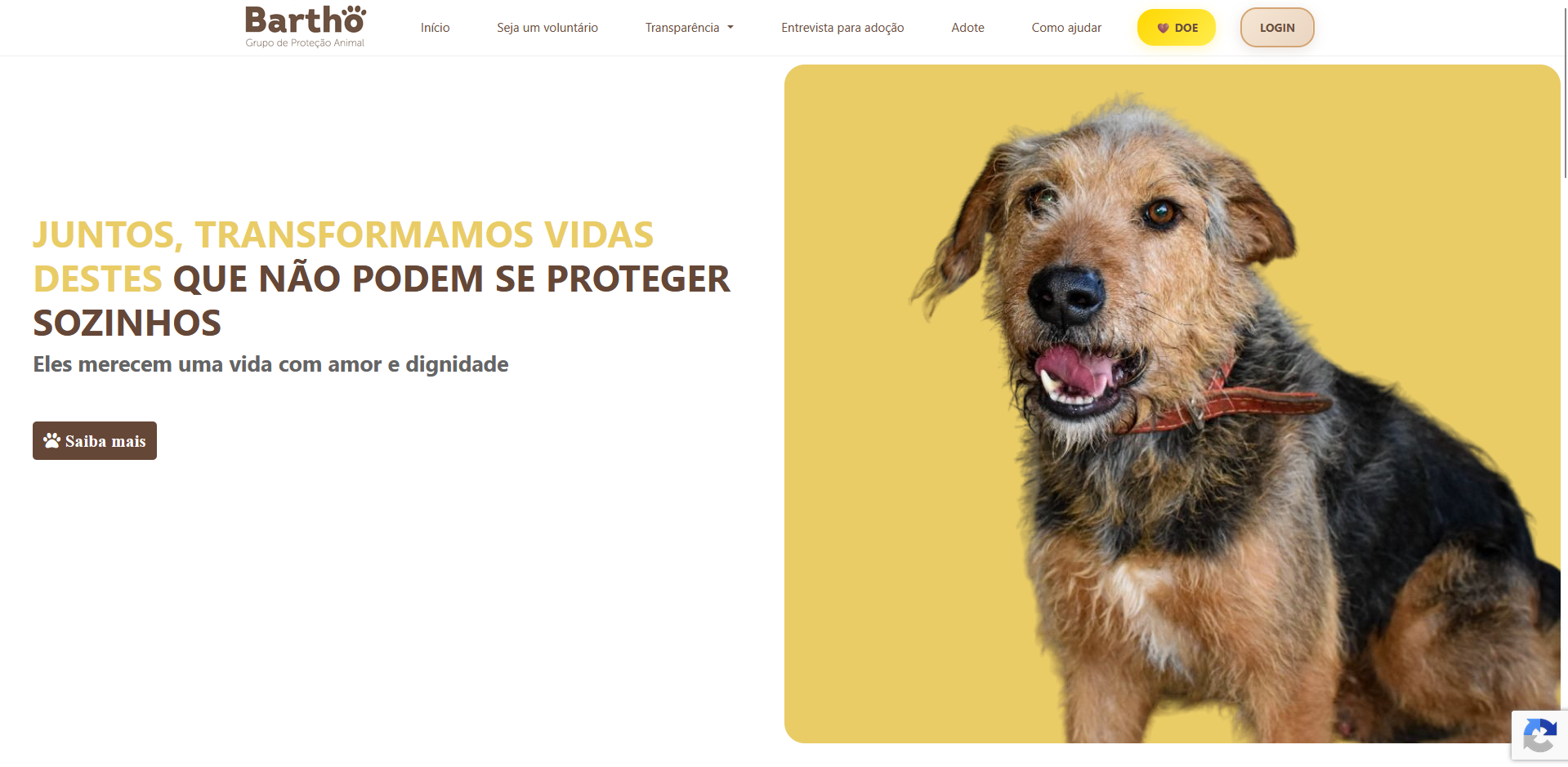 Print do site do Barthô Grupo de Proteção Animal